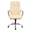 Кресло для руководителя Argo M EC-370 PU Beige