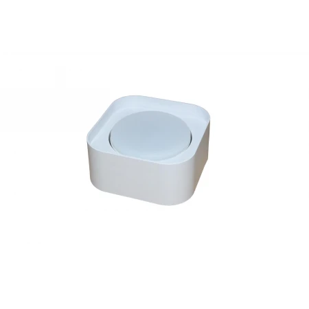 2729M-1 FWH (1/100) Cветильник NW 