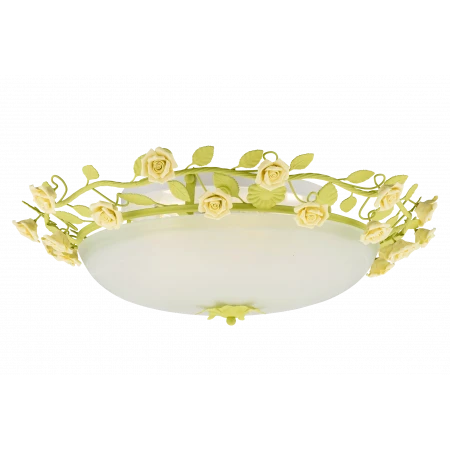 0241/500 GREEN (1) Люстра 