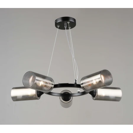 2366/5 BK+CH (1) Люстра RL 