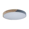 Потолочный светодиодный светильник Loft IT Axel 10004/36 grey Потолочный светодиодный светильник Loft IT Axel 10004/36 grey
