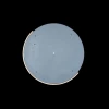 Потолочный светодиодный светильник Loft IT Axel 10004/36 grey Потолочный светодиодный светильник Loft IT Axel 10004/36 grey