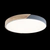 Потолочный светодиодный светильник Loft IT Axel 10004/36 grey Потолочный светодиодный светильник Loft IT Axel 10004/36 grey