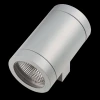 Уличный настенный светильник Lightstar Paro 351619 Уличный настенный светильник Lightstar Paro 351619