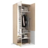 Шкаф платяной Эдмонтон B923Z