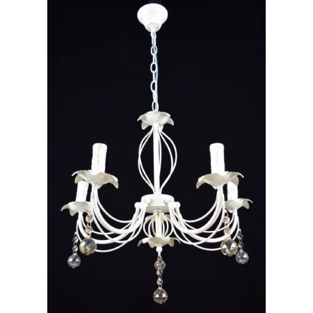 ФП5263/5 (2) WT+GD светильник потолочный [01075803]