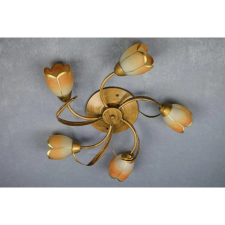 Ю88819/5 (2)с/к люстра [01046632]