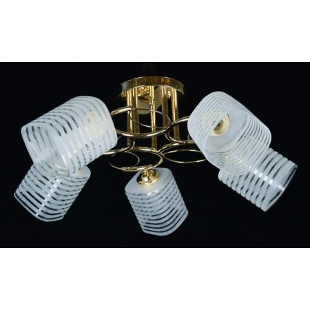 ДС9557B/5 FGD (4) светильник потолочный [01092400]