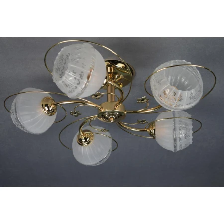 ДС6306/5 (4) FGD светильник потолочный [01072915]