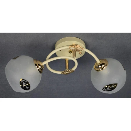 Щ6905/2 (6) YL+FG светильник потолочный [01072962]