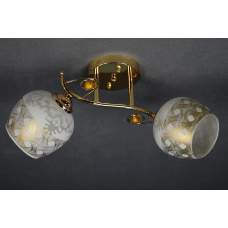 ДС629/2 FGD (6) светильник потолочный [01075287]