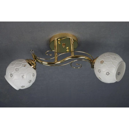 ДС6200/2А (6) FGD светильник потолочный [01072903]