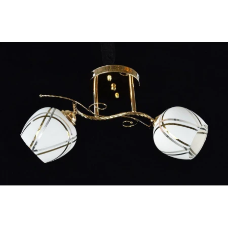 ДС-X9071/2 FGD (6) светильник потолочный [01078536]