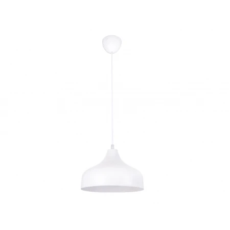 2515/1 WT - Подвесы