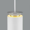 Подвесной светодиодный светильник Elektrostandard DLS021 9+4W 4200К белый матовый/серебро