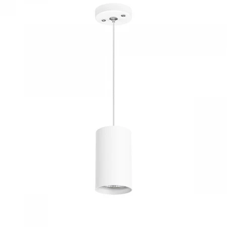 Подвесной светильник Lightstar Rullo (214436+590056) RP436