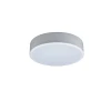 Потолочный светодиодный светильник Loft IT Axel 10002/12 white Потолочный светодиодный светильник Loft IT Axel 10002/12 white