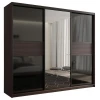 Шкафы-купе 3-х дверный Кааппи 9 венге, зеркальный, черный 