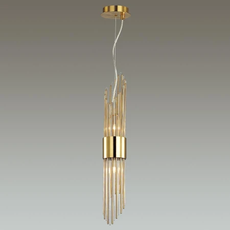 Светильник Odeon Light 4847/2 Flambi