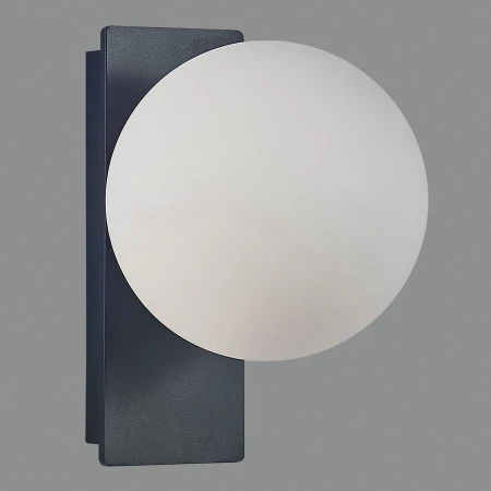 Бра ACB ILUMINACION 16/8169 (A816910N) Kin