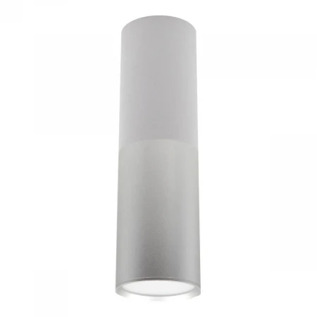 Потолочный светодиодный светильник Escada 20007SMU/02LED SWH/CH