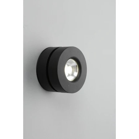 Потолочный светодиодный светильник Omnilux Borgetto OML-101919-12