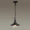 Уличный подвесной светильник Odeon Light Campa 4965/1