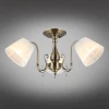 Потолочная люстра Omnilux Leonessa OML-29117-03