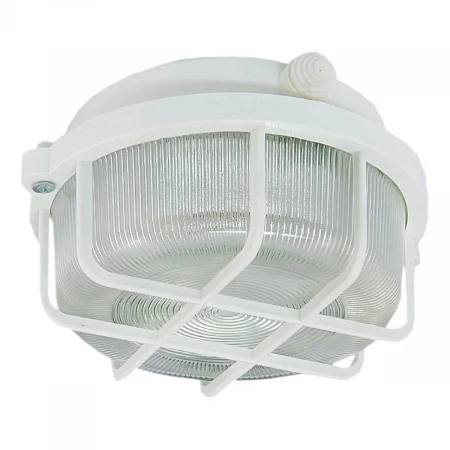 Настенно-потолочный светильник TDM Electric НПП 03-100-005.04 SQ0311-0001