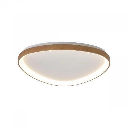 Потолочный светодиодный светильник Mantra Niseko 8059