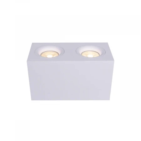 Потолочный светильник Maytoni Technical Slim C013CL-02W