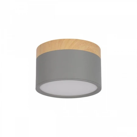 Накладной светодиодный светильник Loft IT Grape 10162 Grey