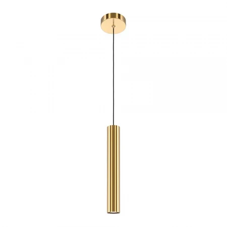 Подвесной светильник Maytoni Pro Focus MOD161PL-01BS1