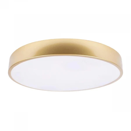 Потолочный светодиодный светильник Loft IT Flims 10228/A