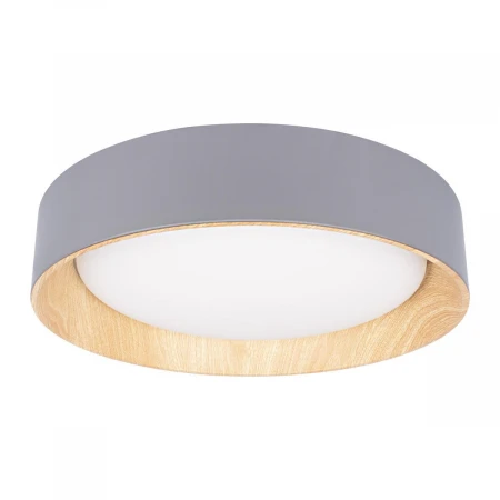 Потолочный светодиодный светильник Loft IT Coin 10202 Grey