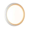 Настенно-потолочный светодиодный светильник Sonex Pale Tofiq White 7650/DL