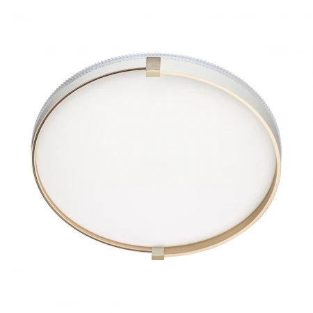 Настенно-потолочный светодиодный светильник Sonex Pale Olidi White 7646/DL