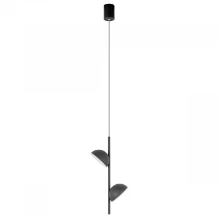 Подвесной светильник Loft IT Mons 10335 Black