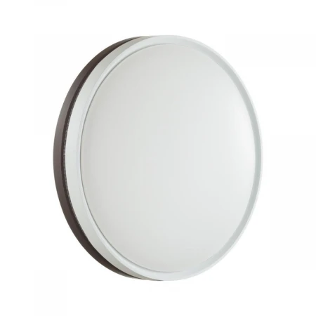 Настенно-потолочный светодиодный светильник Sonex Color Nohava Brown 7668/DL