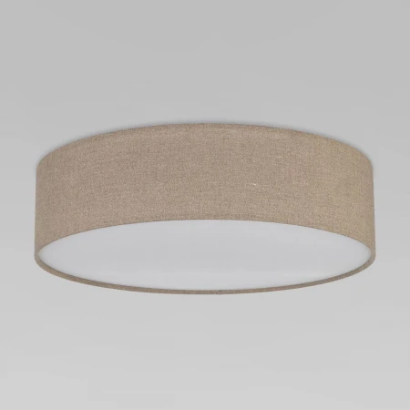 Потолочный светильник TK Lighting 10166 Earth