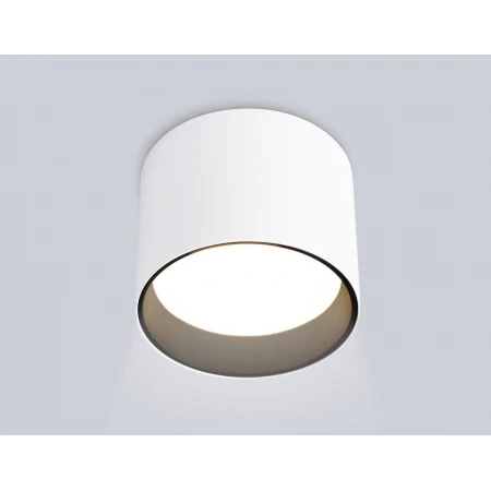 Светильник накладной Ambrella Light TN5303