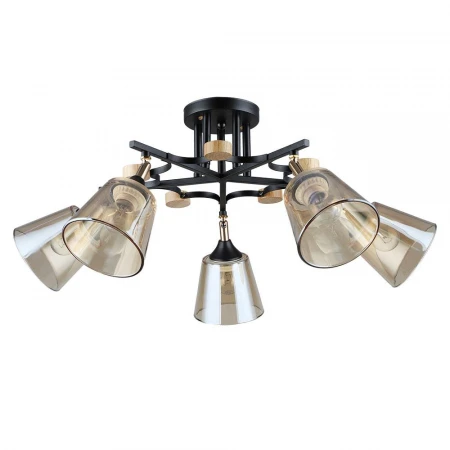 Потолочная люстра Arte Lamp GLASSY A5078PL-5BK