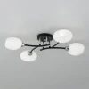 Потолочная люстра Citilux CL148145