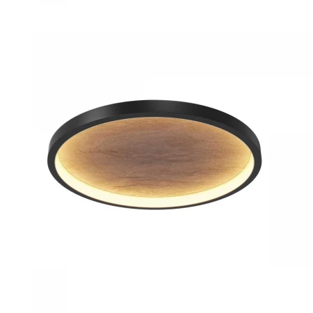 Потолочный светильник Maytoni MOD311CL-L40B3K