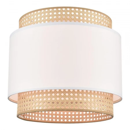 Потолочный светильник Velante 565-717-01