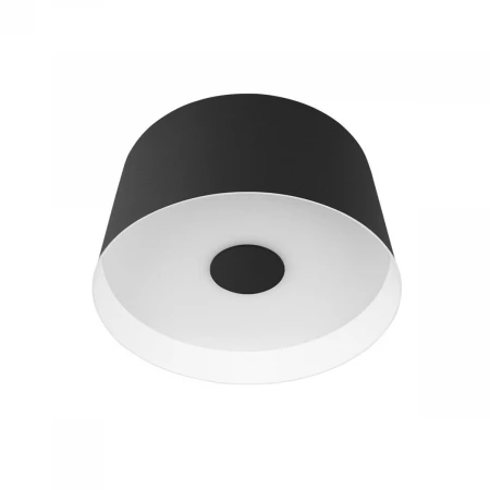 Потолочный светодиодный светильник Loft IT Duo 10360S Black