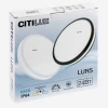 Светильник накладной Citilux LUNS CL711021V