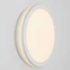 Светильник накладной Citilux LUNS CL711010V