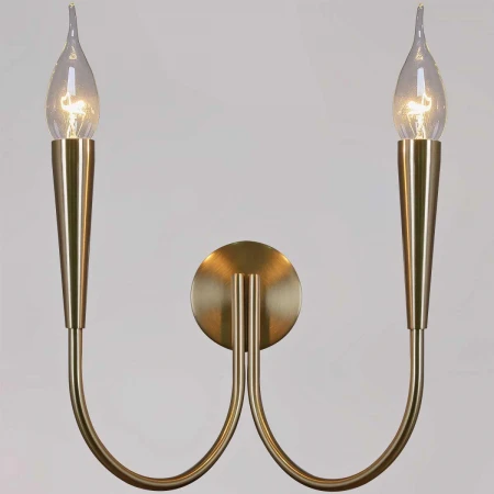 Бра ILLUMICO IL0441-2W-79 BRASS VASE
