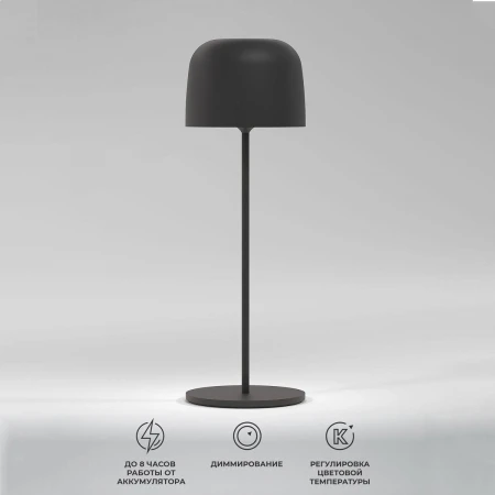 Уличный светодиодный светильник Elektrostandard Bitty черный TL70260 a069002 Уличный светодиодный светильник Elektrostandard Bitty черный TL70260 a069002